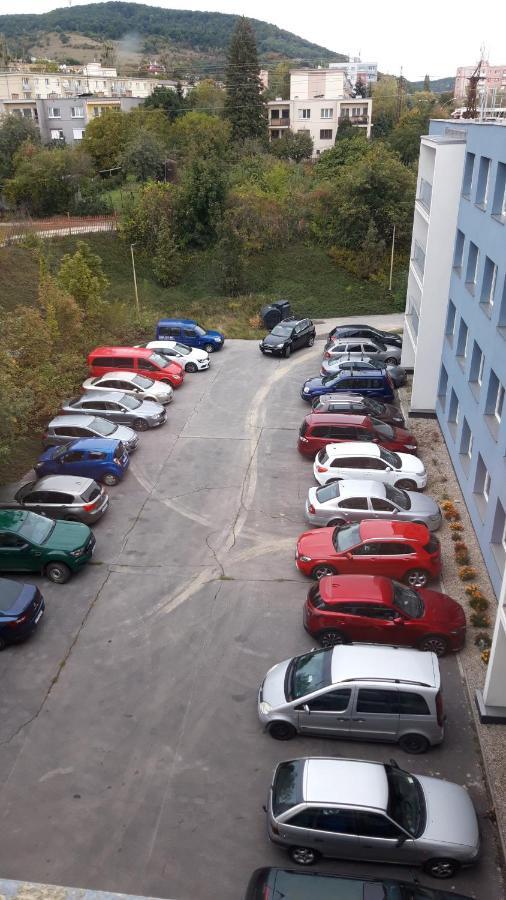 Penzion Institut Caşonia Exterior foto